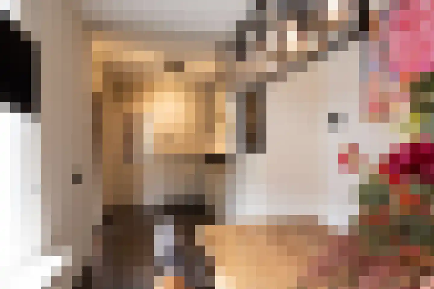 Steengrachtstraat 19 Terborg thumbnail 19