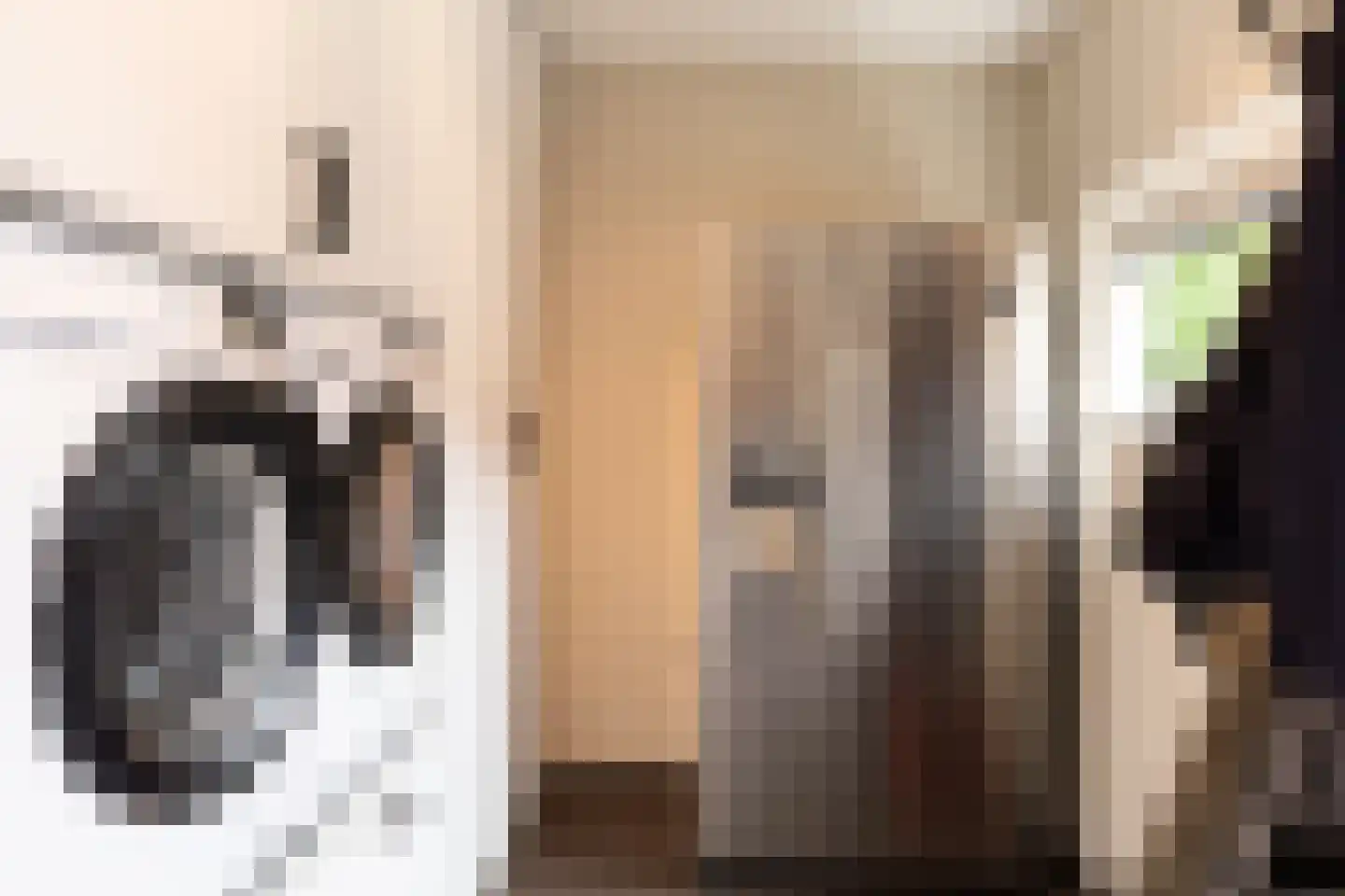 Steengrachtstraat 19 Terborg thumbnail 20