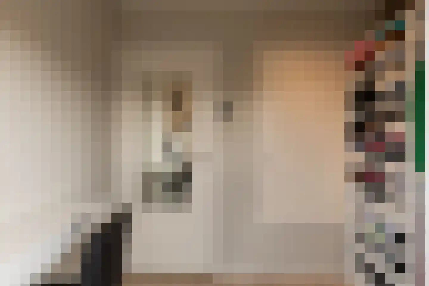 Steengrachtstraat 19 Terborg thumbnail 25
