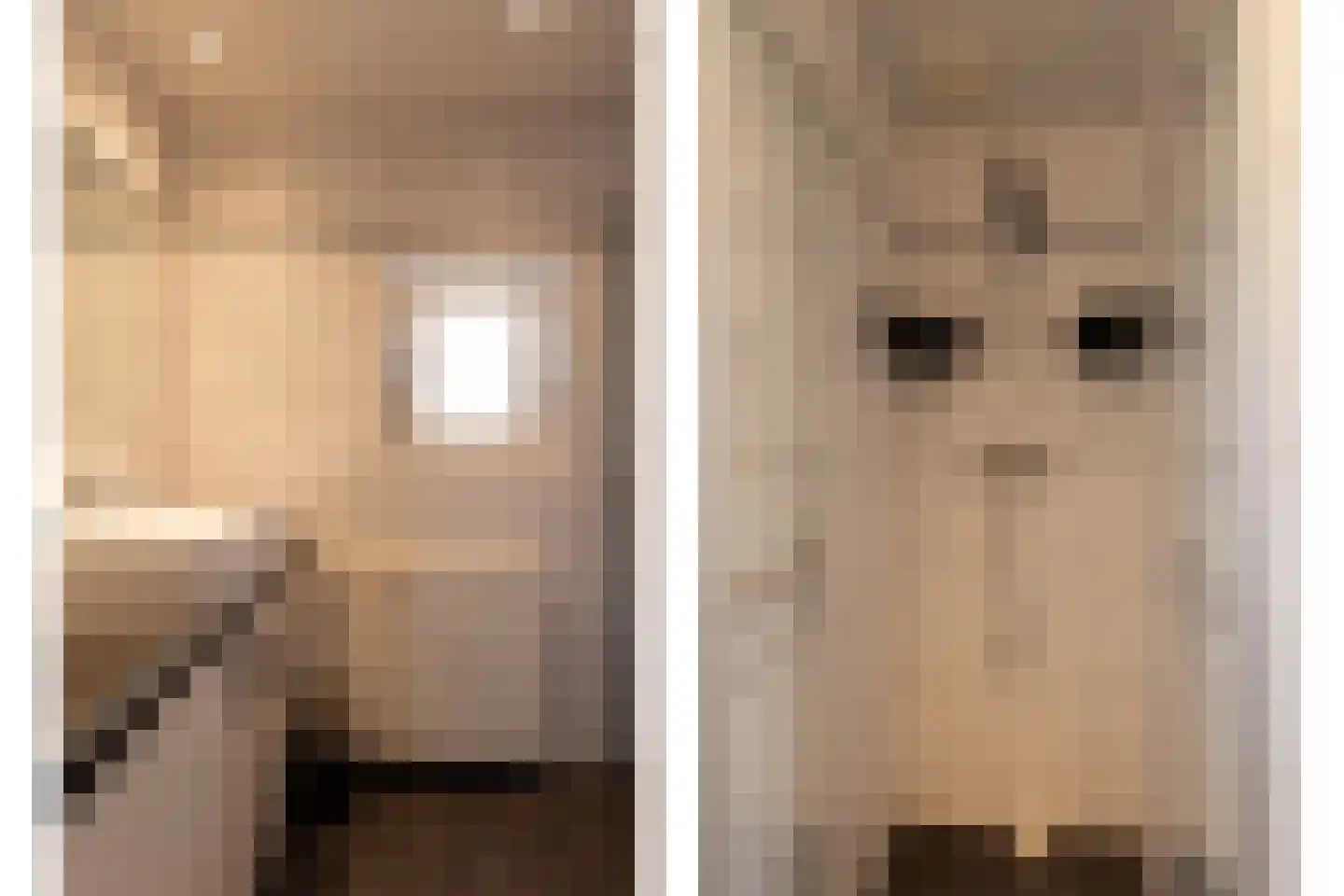 Steengrachtstraat 19 Terborg thumbnail 28