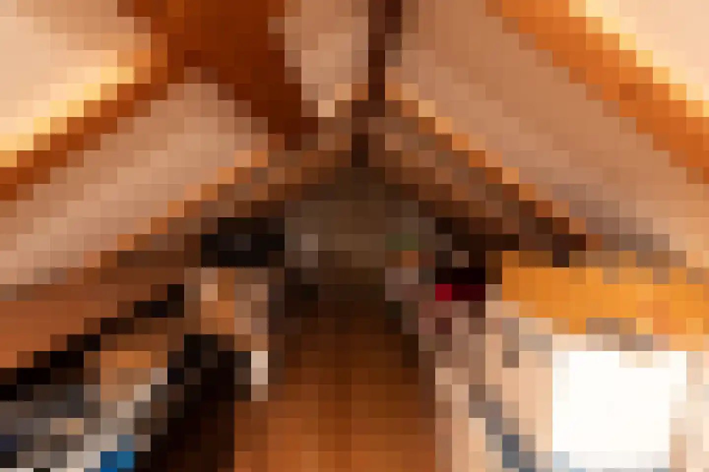 Steengrachtstraat 19 Terborg thumbnail 29