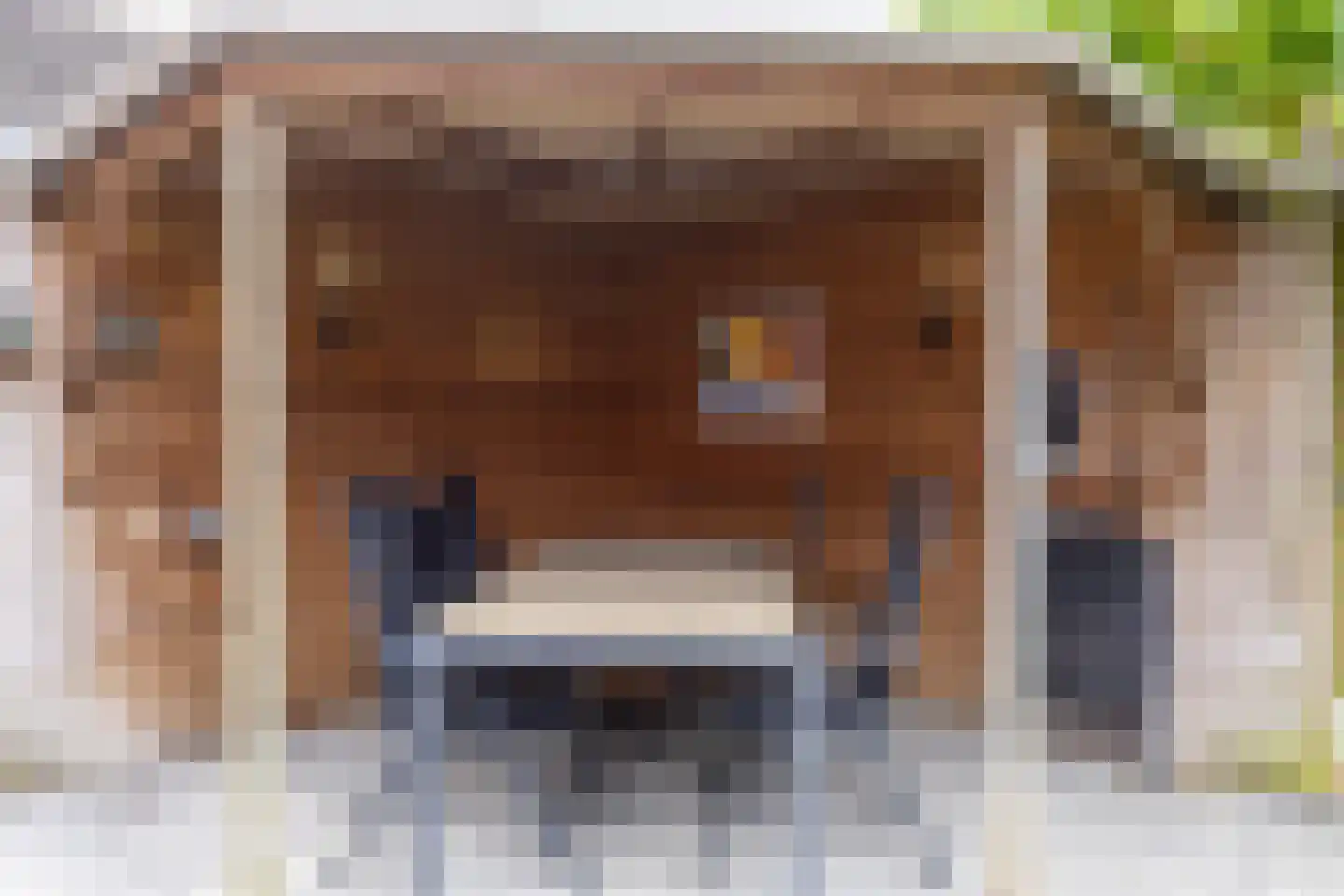 Steengrachtstraat 19 Terborg thumbnail 33