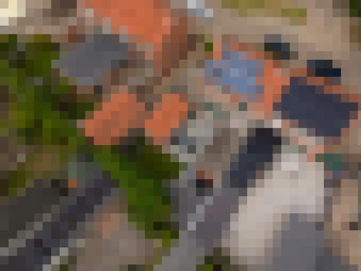 Steengrachtstraat 19 Terborg thumbnail 37