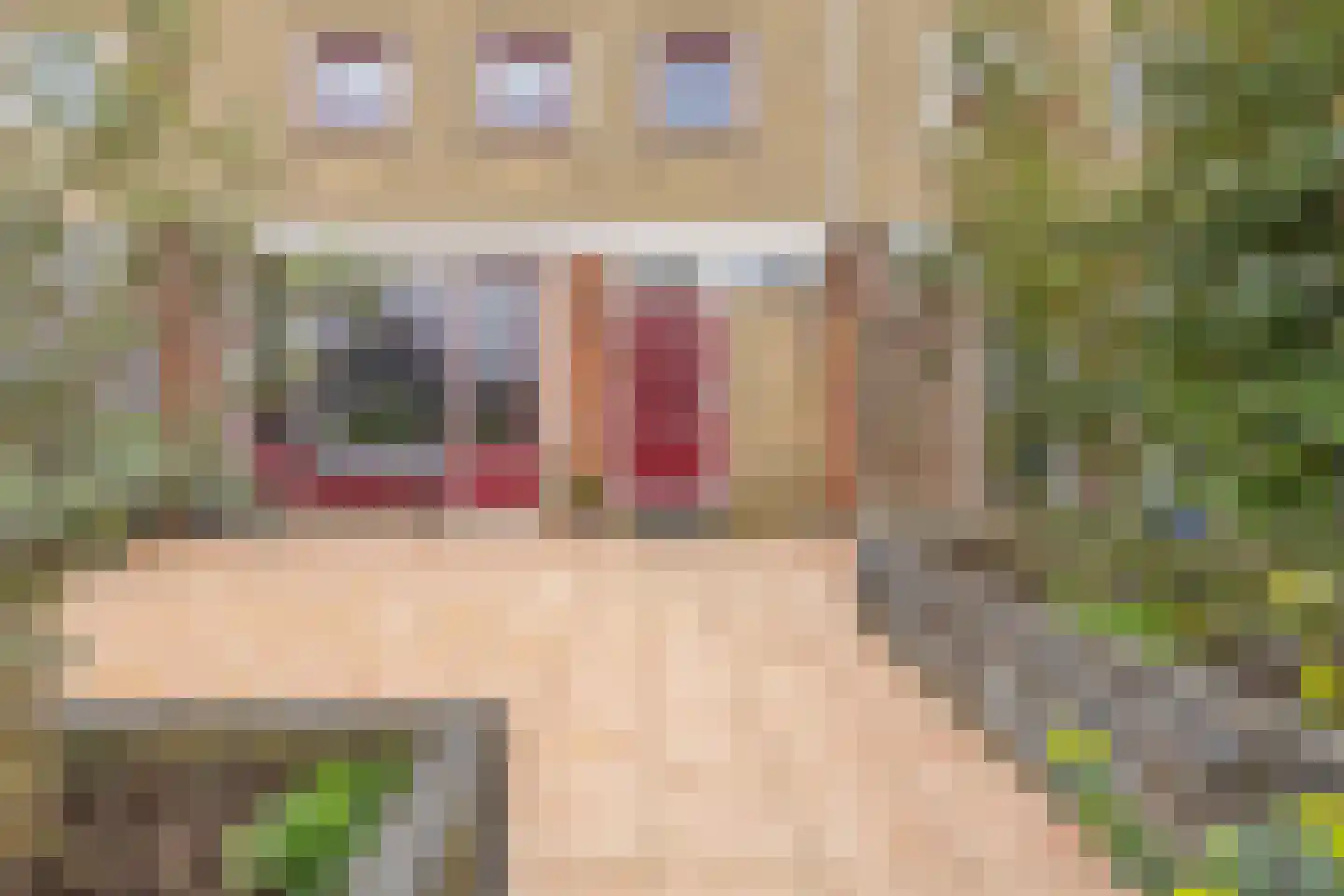 Steengrachtstraat 19 Vlissingen thumbnail 6