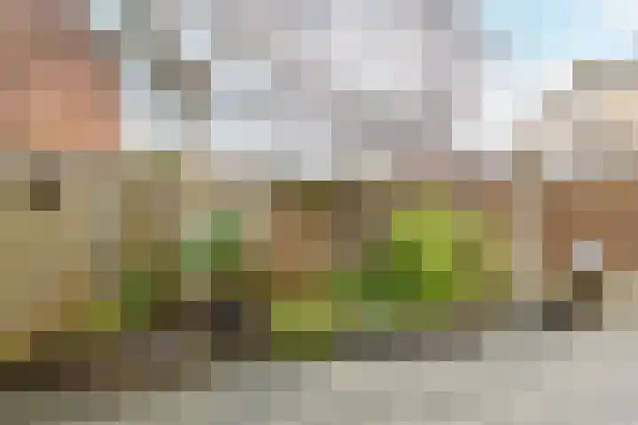 Steengrachtstraat 25 Vlissingen thumbnail 23