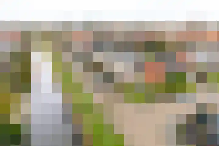 Steengrachtstraat 25 Vlissingen thumbnail 8