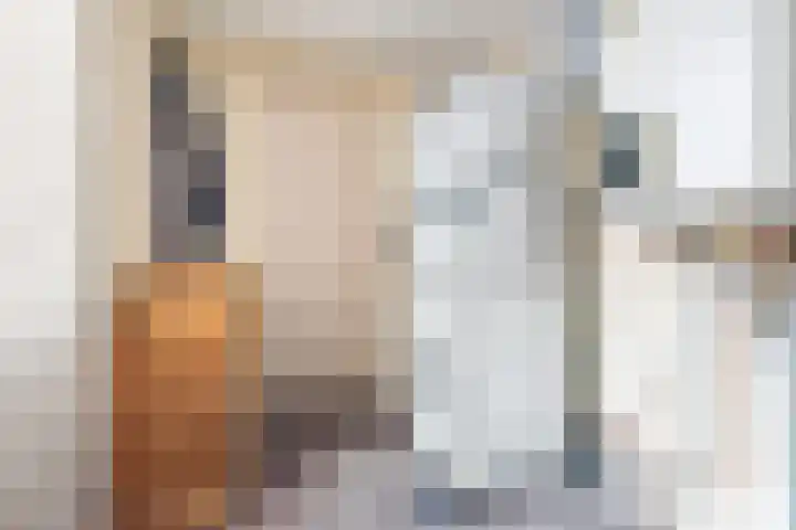 Steengrachtstraat 6 Terborg thumbnail 18