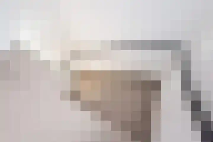 Steengrachtstraat 6 Terborg thumbnail 19