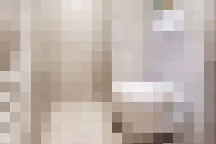 Steengrachtstraat 6 Terborg thumbnail 28