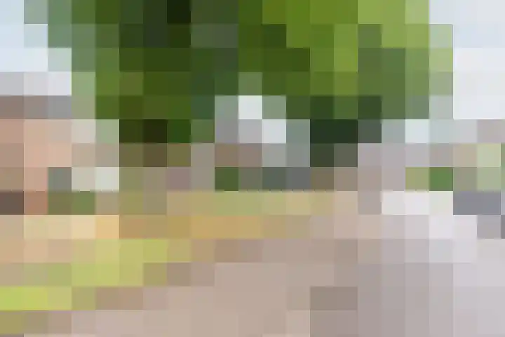 Steengrachtstraat 6 Terborg thumbnail 41