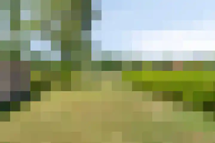Steengroeveweg 19 Winterswijk thumbnail 37