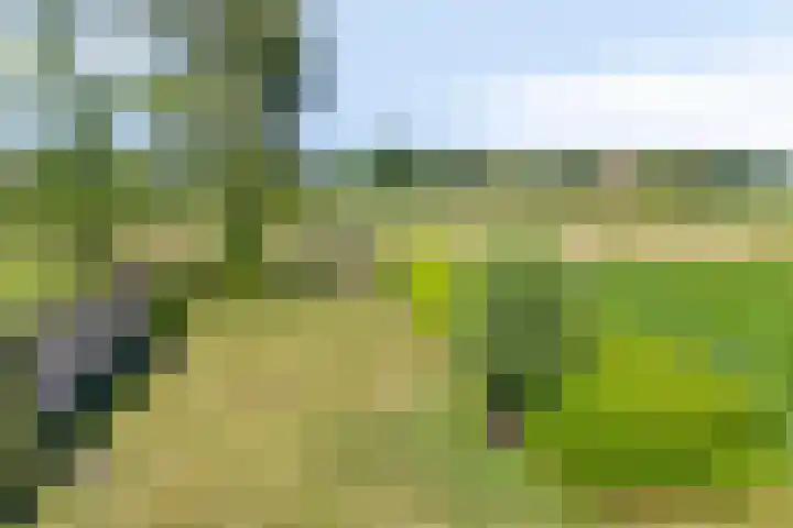 Steengroeveweg 19 Winterswijk thumbnail 41