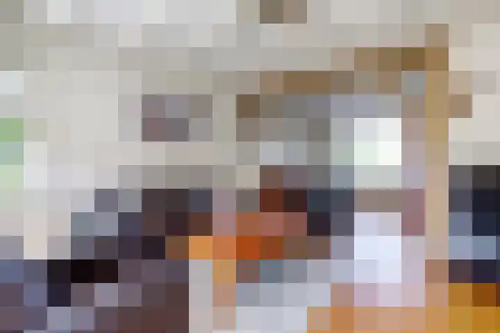 Steengroeveweg 3 Winterswijk thumbnail 12
