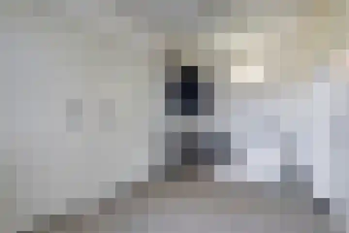 Steengroeveweg 3 Winterswijk thumbnail 17