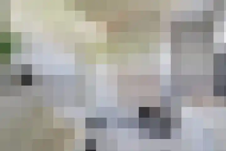 Steengroeveweg 3 Winterswijk thumbnail 21