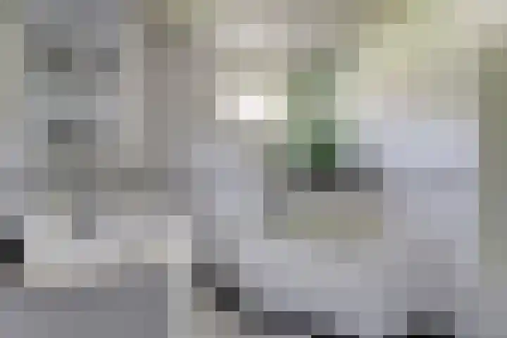 Steengroeveweg 3 Winterswijk thumbnail 22