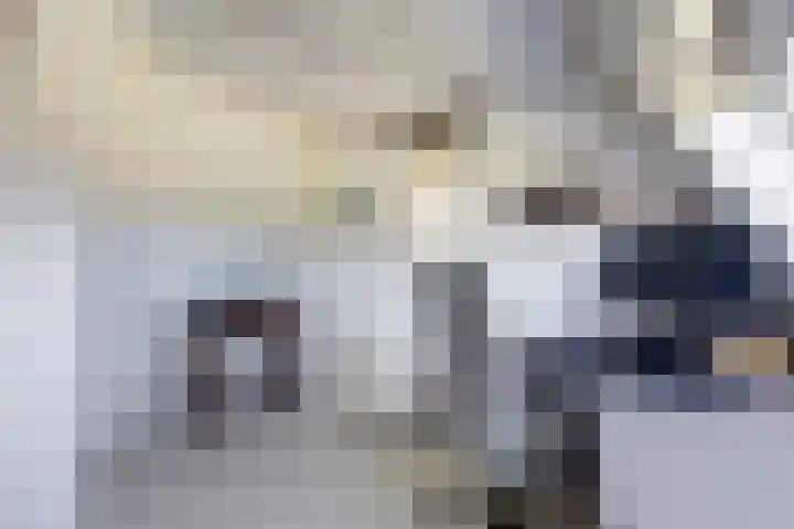 Steengroeveweg 3 Winterswijk thumbnail 39