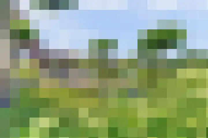 Steengroeveweg 3 Winterswijk thumbnail 42