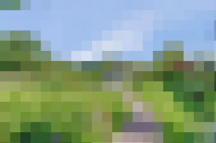 Steengroeveweg 3 Winterswijk thumbnail 43