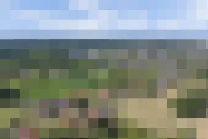 Steengroeveweg 3 Winterswijk thumbnail 52