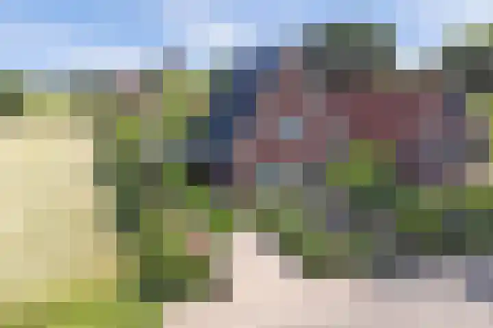 Steengroeveweg 3 Winterswijk thumbnail 7