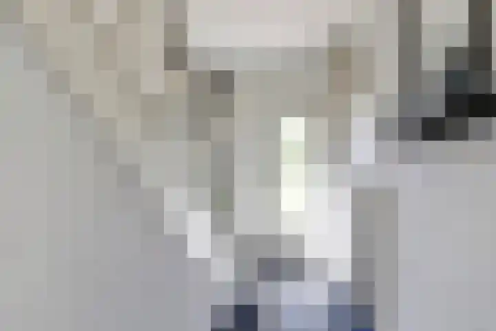 Steengroeveweg 3 Winterswijk thumbnail 8