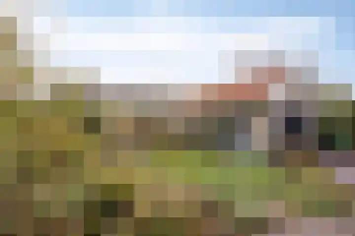 Steenheuvelsestraat 38 Leuth thumbnail 32