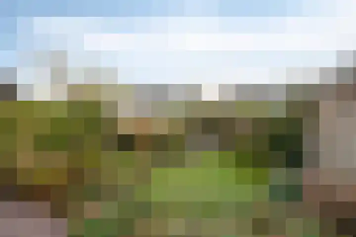 Steenheuvelsestraat 38 Leuth thumbnail 33