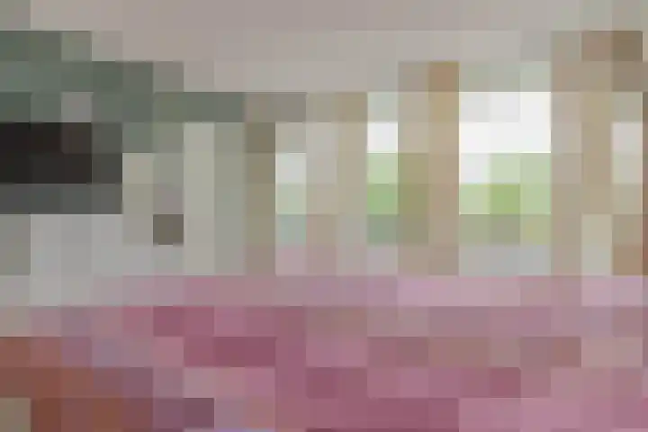Steenhoeck 33 Heenvliet thumbnail 14
