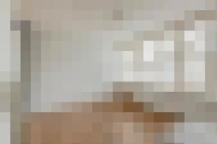 Steenhoeck 33 Heenvliet thumbnail 19