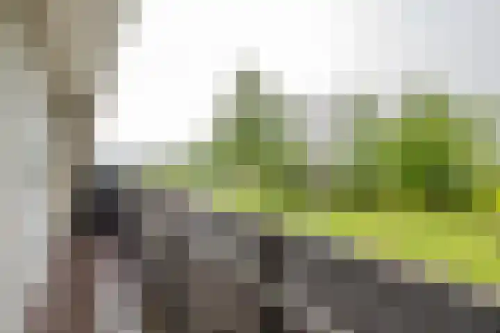 Steenhoeck 33 Heenvliet thumbnail 23