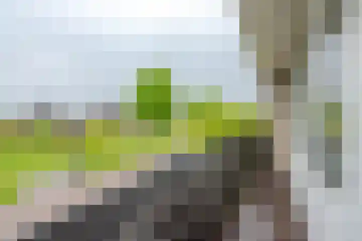 Steenhoeck 33 Heenvliet thumbnail 24