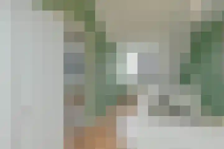 Steenhoeck 33 Heenvliet thumbnail 27