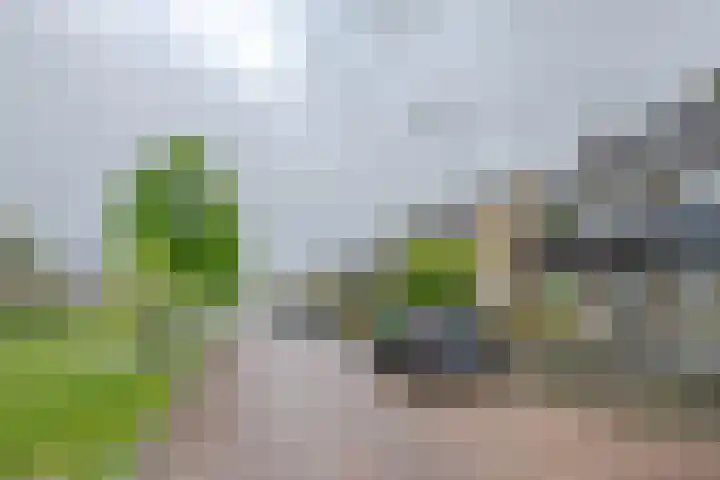 Steenhoeck 33 Heenvliet thumbnail 29