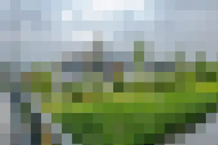 Steenhoeck 33 Heenvliet thumbnail 30