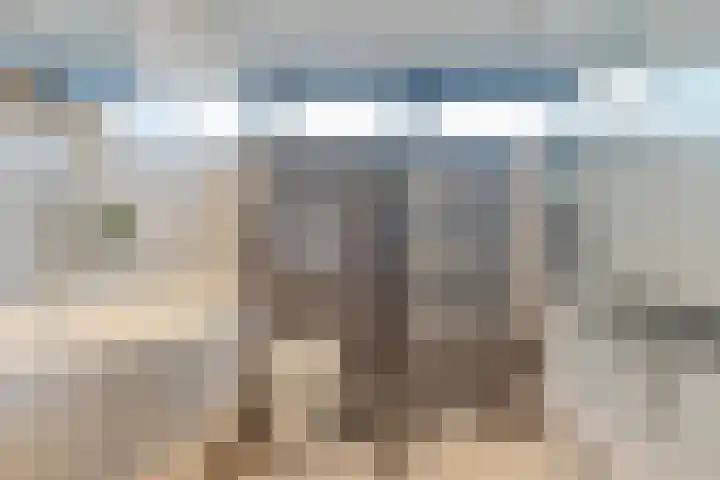 Steenhoeck 33 Heenvliet thumbnail 4