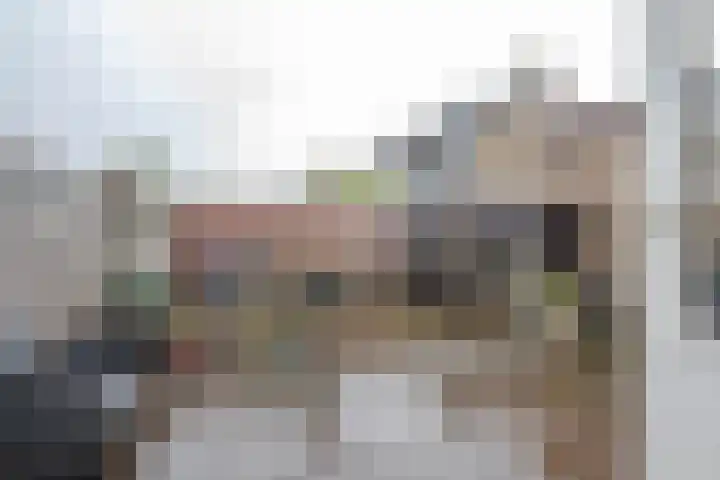 Steenhoeck 33 Heenvliet thumbnail 5