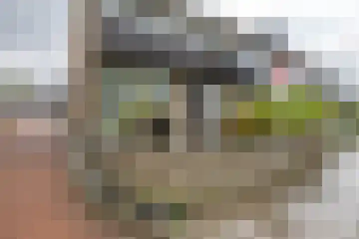 Steenhoeck 33 Heenvliet thumbnail 7