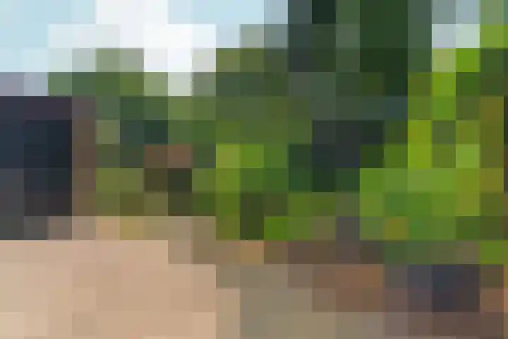Steenhoek 14 Rozendaal thumbnail 29