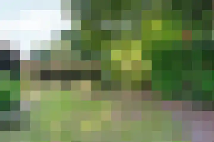 Steenhoek 14 Rozendaal thumbnail 32