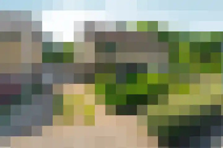 Steenhoek 14 Rozendaal thumbnail 44