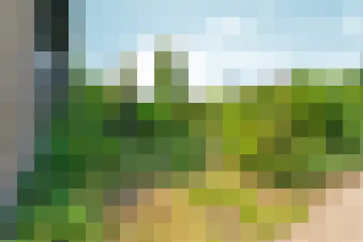 Steenhoek 14 Rozendaal thumbnail 6