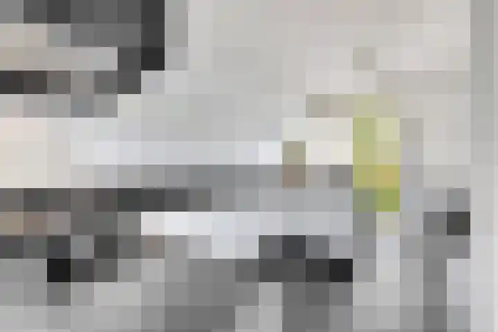 Steenhoekstraat 4 Hellevoetsluis thumbnail 28