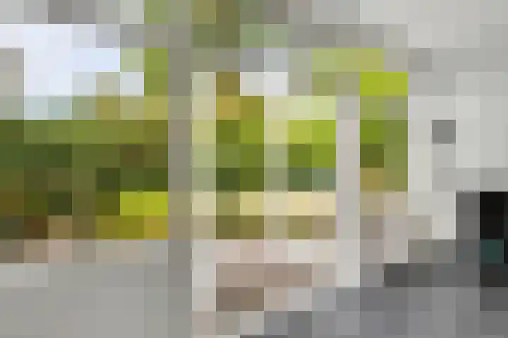 Steenhoekstraat 4 Hellevoetsluis thumbnail 4