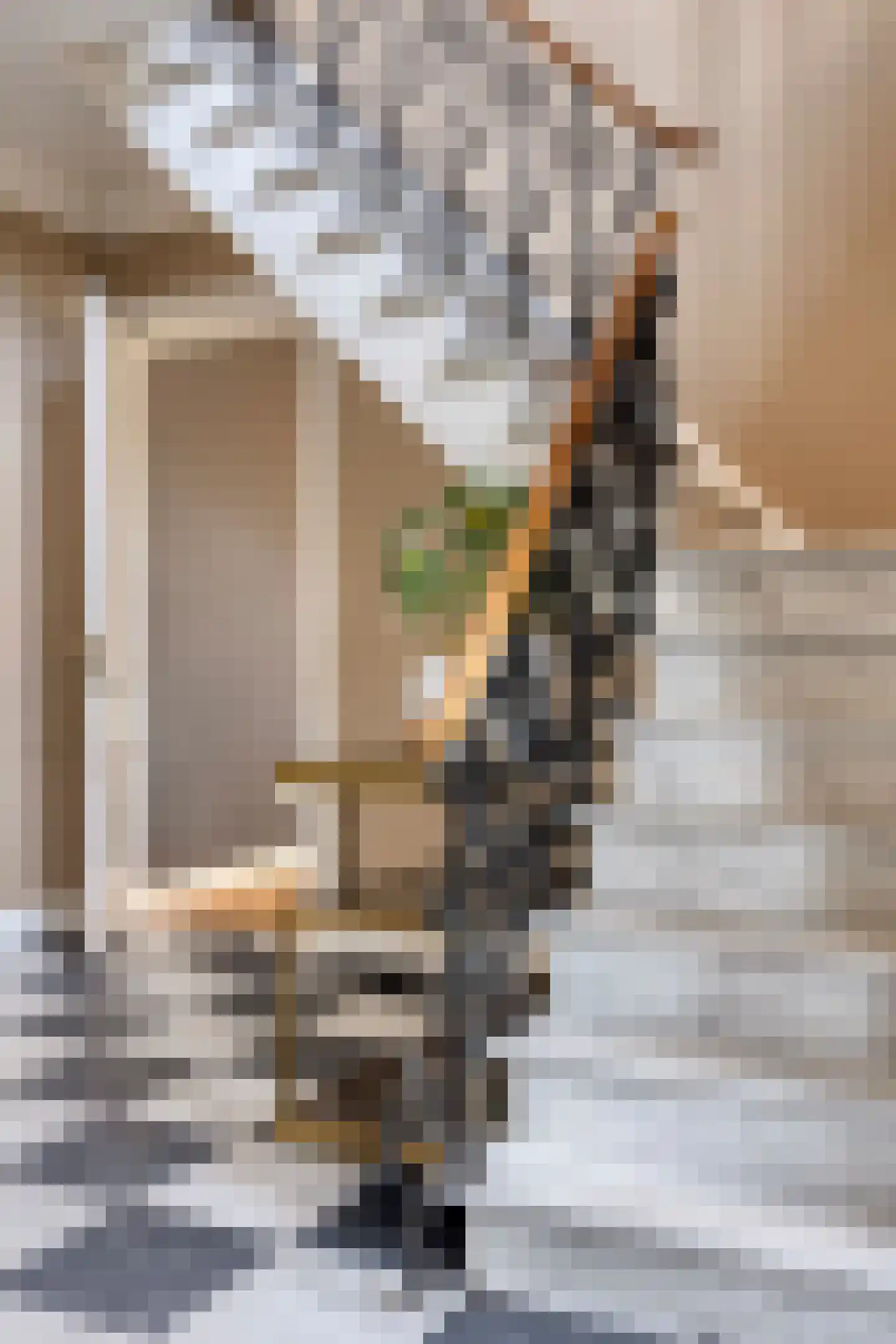 Steenhof 4 Bavel thumbnail 11