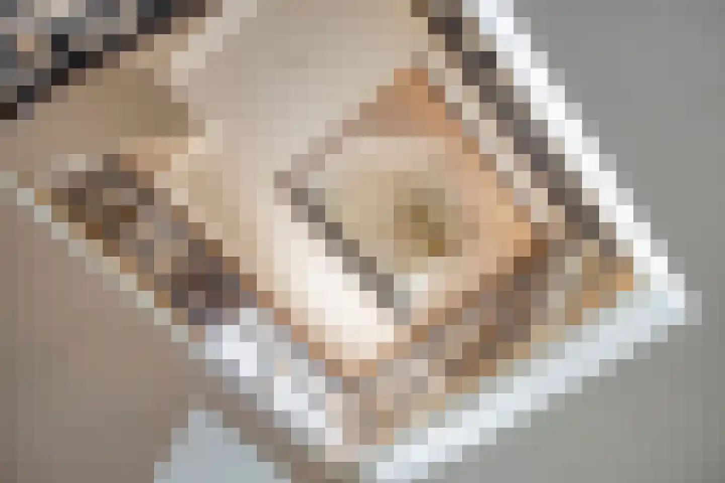 Steenhof 4 Bavel thumbnail 14