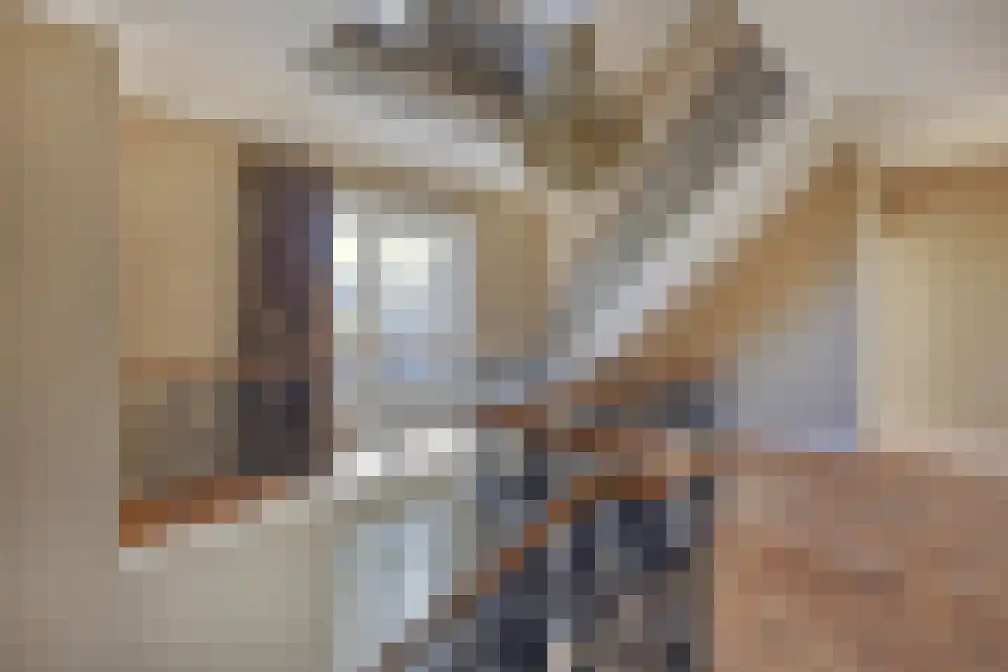Steenhof 4 Bavel thumbnail 15