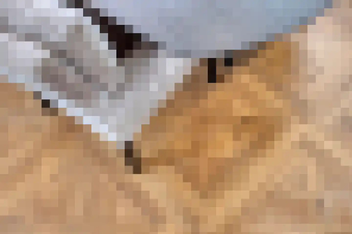 Steenhof 4 Bavel thumbnail 23