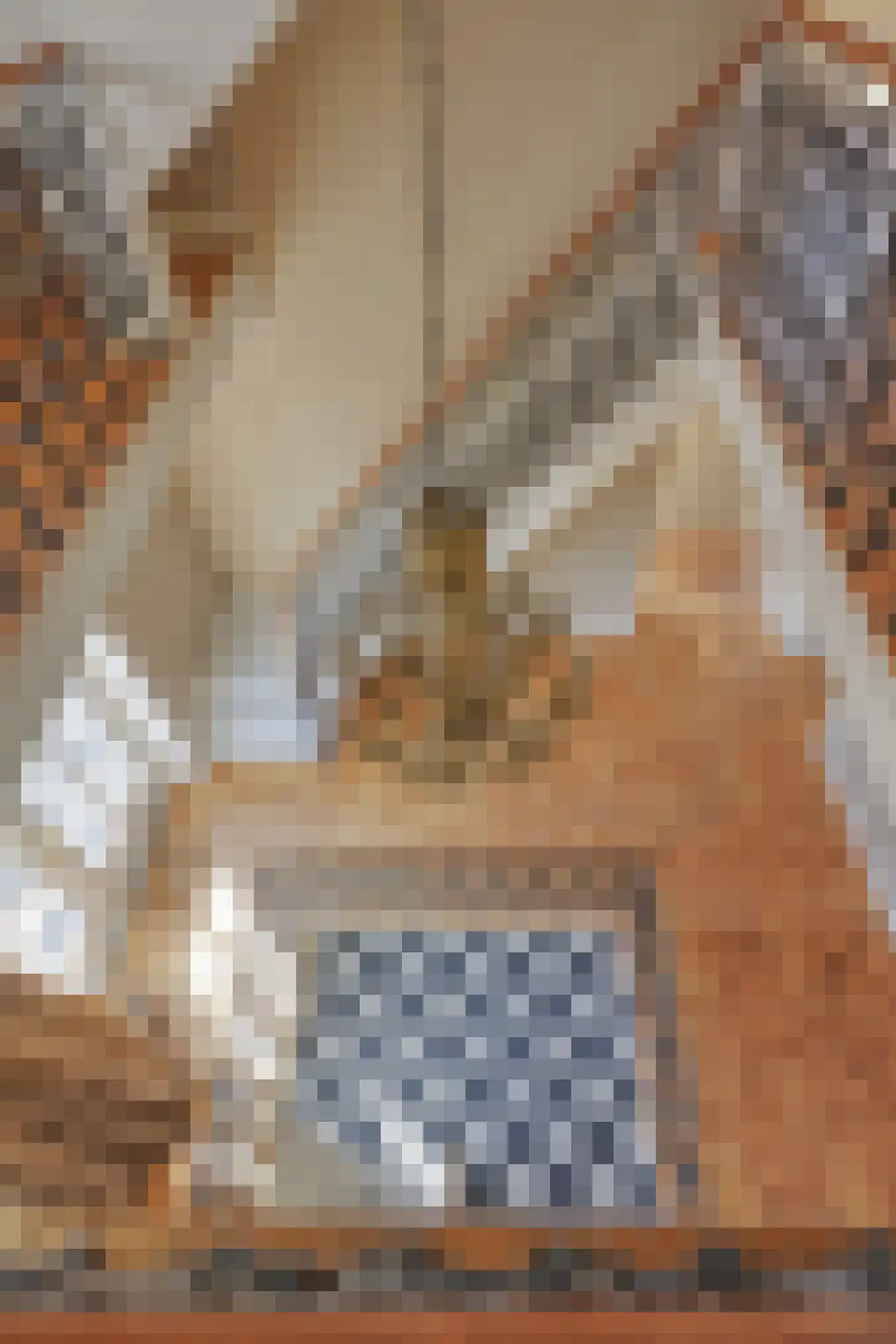 Steenhof 4 Bavel thumbnail 26