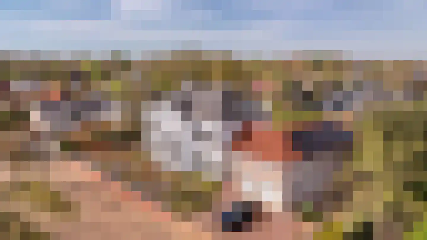Steenhof 4 Bavel thumbnail 35